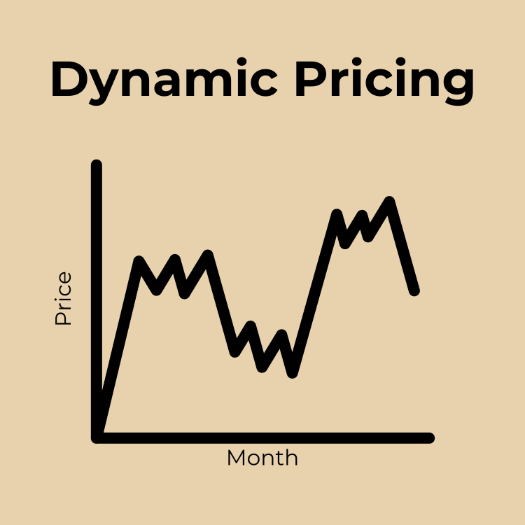 Dynamic Pricing