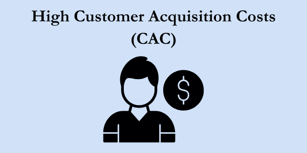 High Customer Acquisition Costs