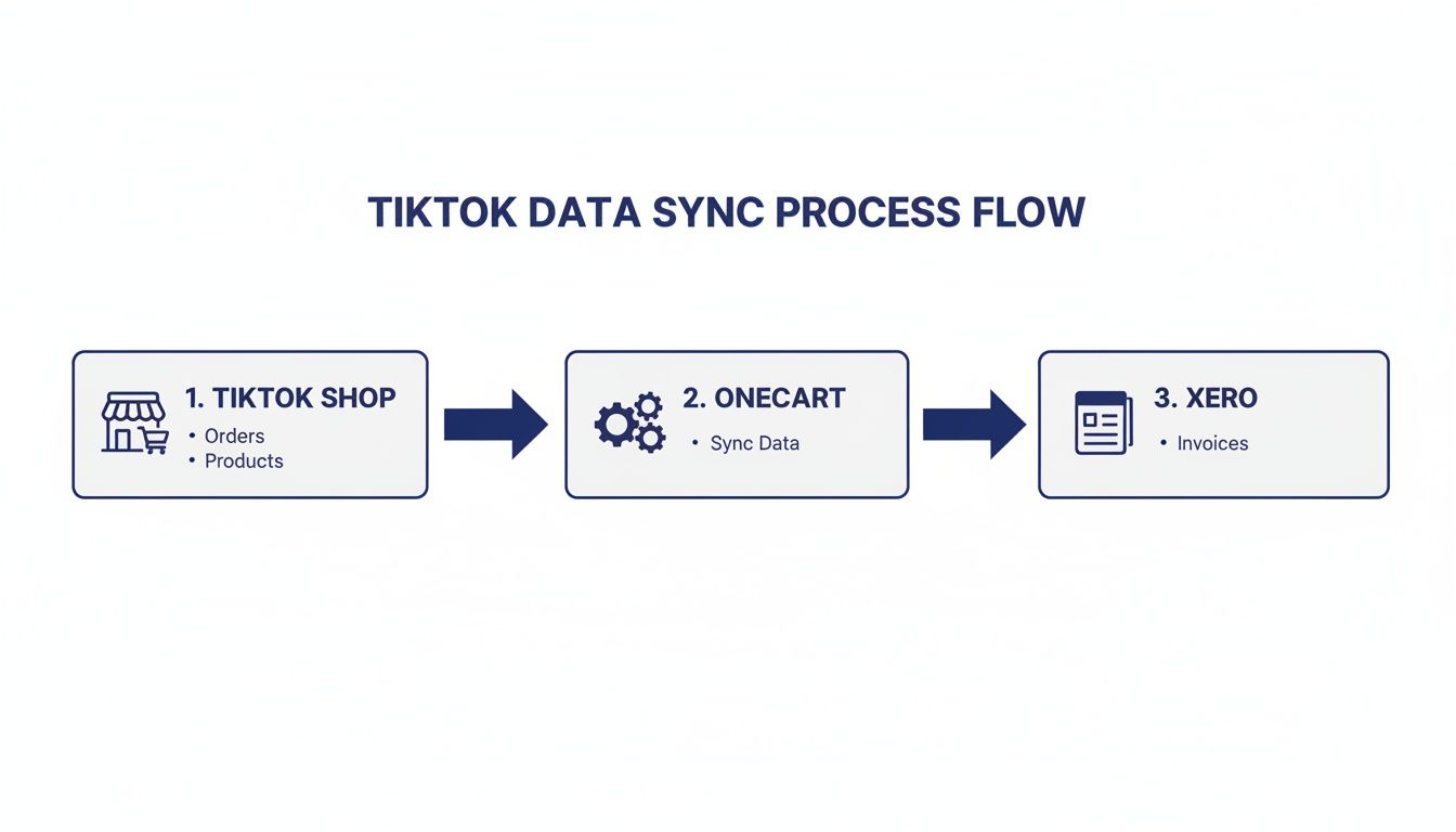 A process flow diagram illustrating TikTok Shop orders and products syncing through Onecart to Xero for invoices.