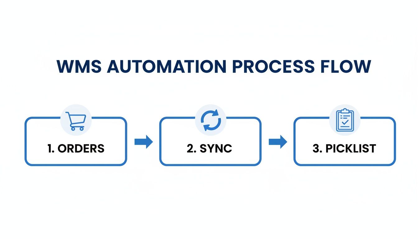 WMS automation process flow diagram showing three steps: 1. Orders, 2. Sync, 3. Picklist.